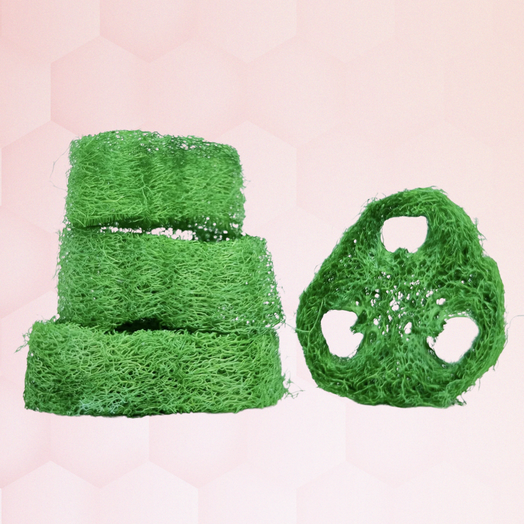 Green Loofah 100% Natural St Patrick's Day Chew Toy Treat: Green Loofah Chew Toy for St. Patrick's Day or Anytime!