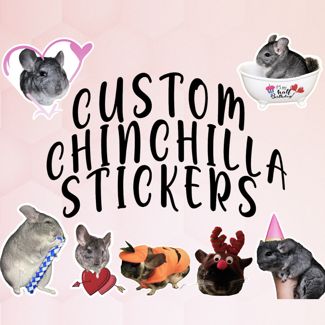 Chinchilla Custom Die-cut Photo Sticker: Chinchilla Personalized Die-Cut Photo Sticker (Great for laptops, water bottles, etc.!)