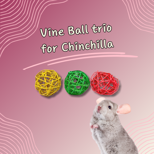 Trio of Natural Large Vine Ball for Chinchilla, Small Animal Toy, Chew Toy, Toss Toy, Small Vine Ball for Chinchilla