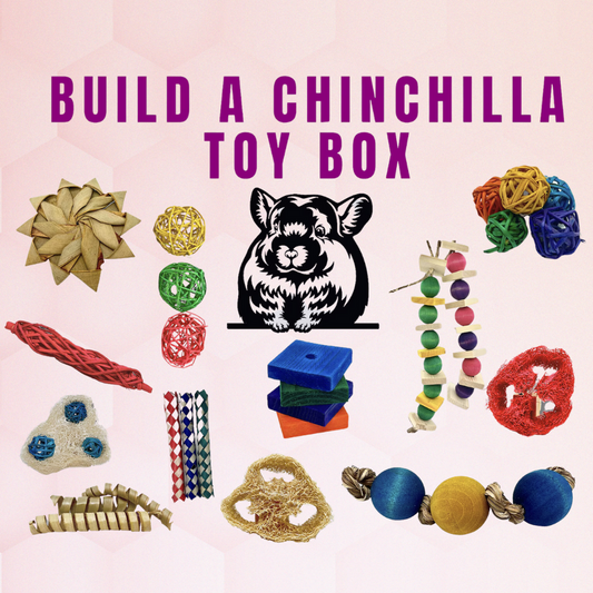 Build Your Own Chinchilla Chew Toy Box Assortment Choose from 20 Options! Chinchilla Toys!