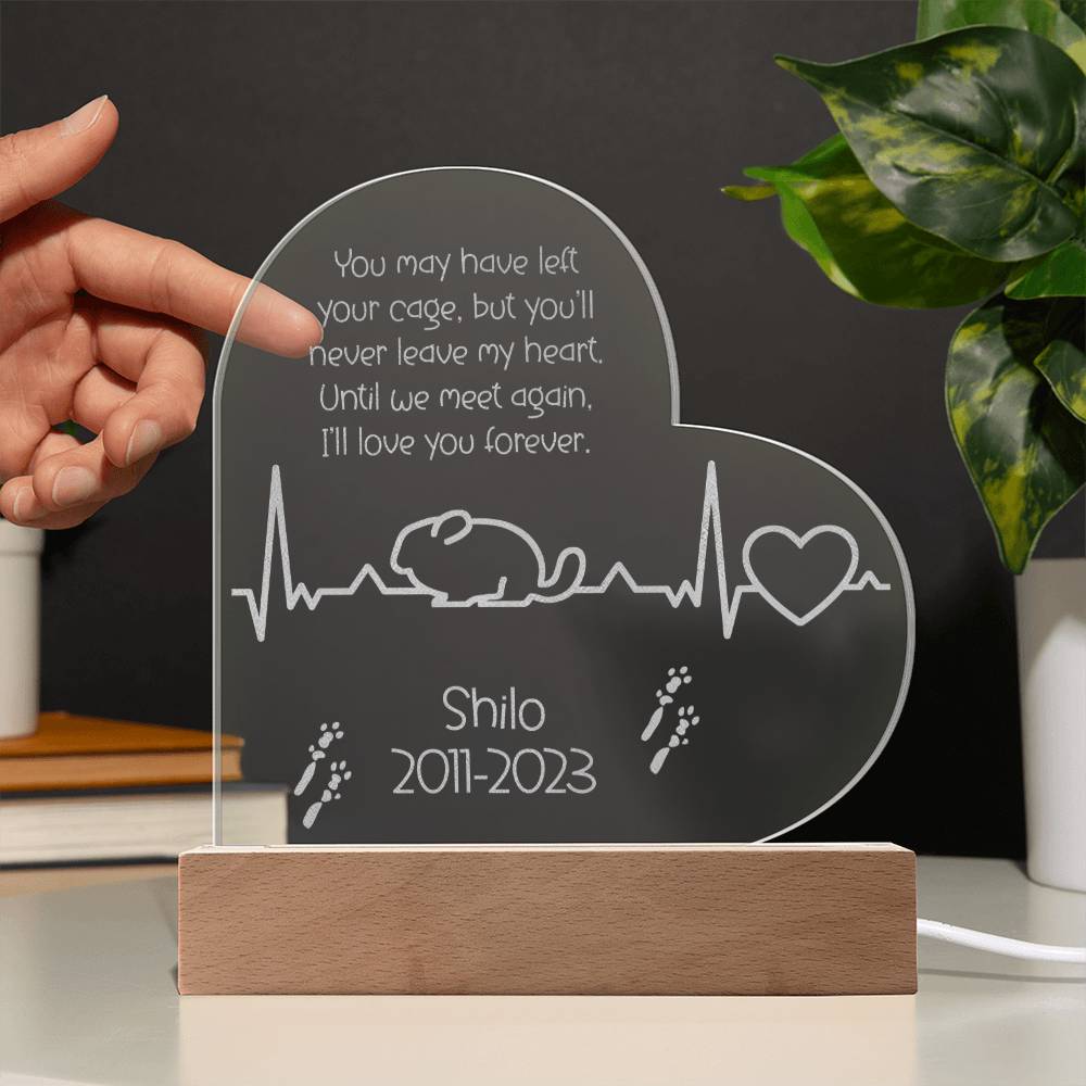 Chinchilla Memorial Gift | Etched Acrylic LED Plaque: Remembering Your Chinchilla Forever - Etched Acrylic LED Plaque