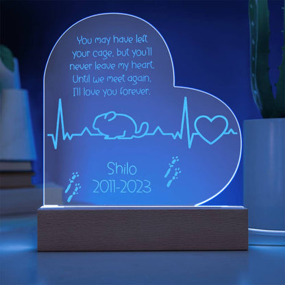 Chinchilla Memorial Gift | Etched Acrylic LED Plaque: Remembering Your Chinchilla Forever - Etched Acrylic LED Plaque