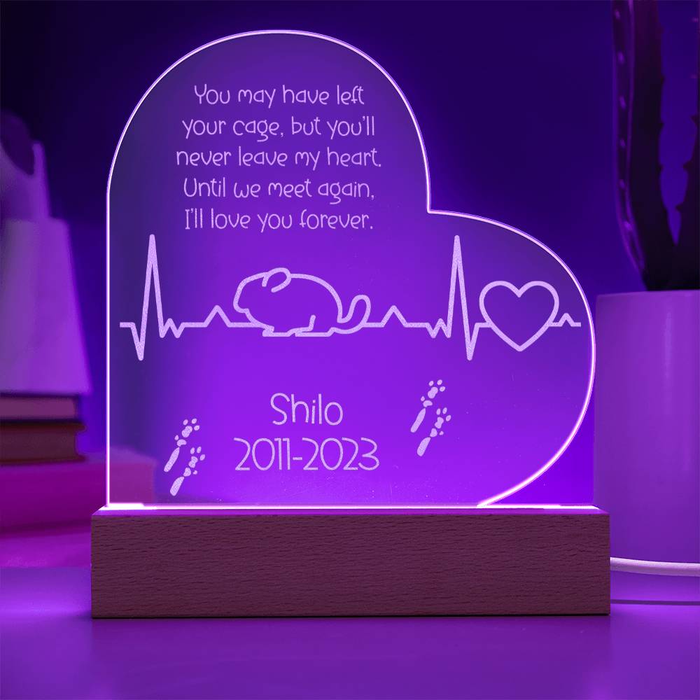 Chinchilla Memorial Gift | Etched Acrylic LED Plaque: Remembering Your Chinchilla Forever - Etched Acrylic LED Plaque