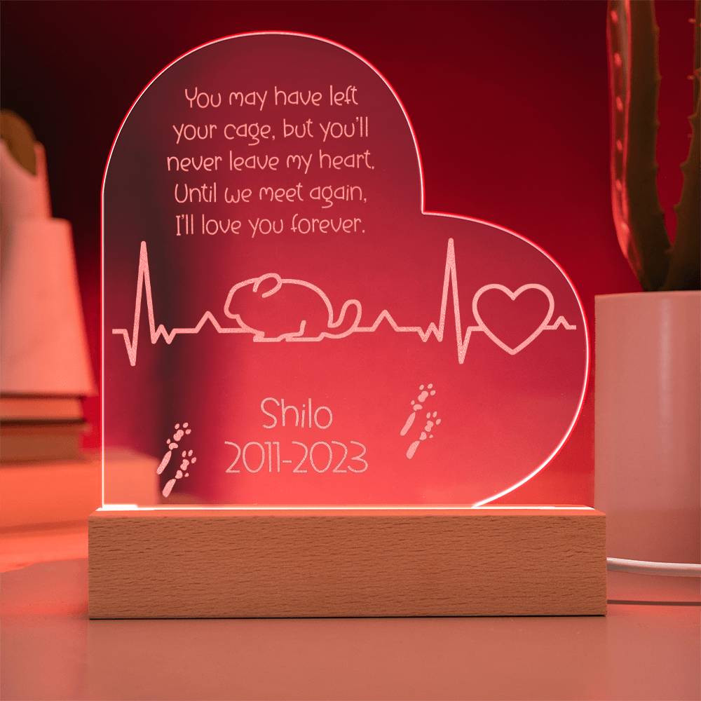 Chinchilla Memorial Gift | Etched Acrylic LED Plaque: Remembering Your Chinchilla Forever - Etched Acrylic LED Plaque