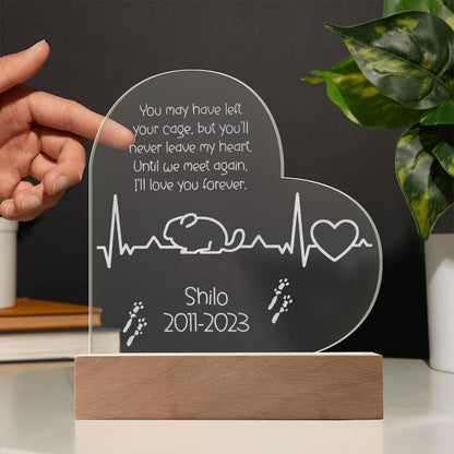 Chinchilla Memorial Gift | Etched Acrylic LED Plaque: Remembering Your Chinchilla Forever - Etched Acrylic LED Plaque