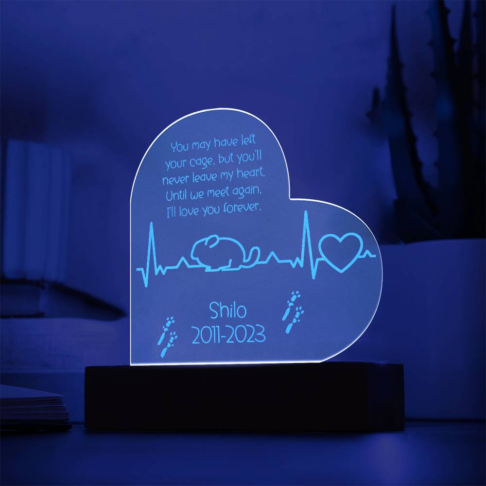 Chinchilla Memorial Gift | Etched Acrylic LED Plaque: Remembering Your Chinchilla Forever - Etched Acrylic LED Plaque