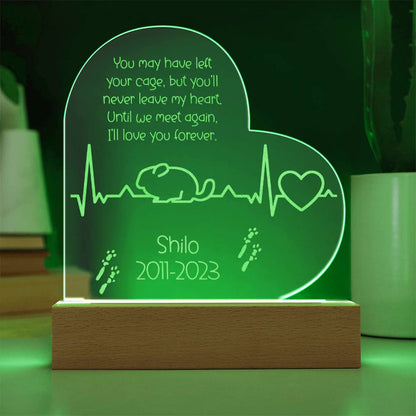 Chinchilla Memorial Gift | Etched Acrylic LED Plaque: Remembering Your Chinchilla Forever - Etched Acrylic LED Plaque