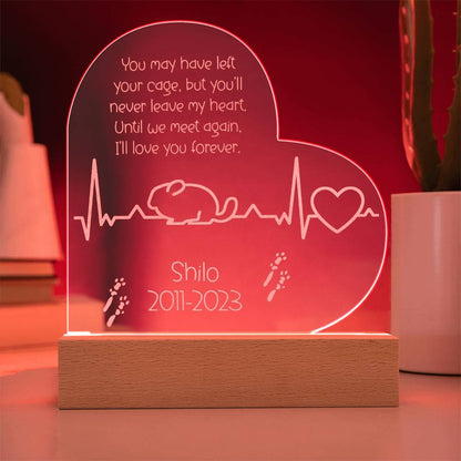 Chinchilla Memorial Gift | Etched Acrylic LED Plaque: Remembering Your Chinchilla Forever - Etched Acrylic LED Plaque