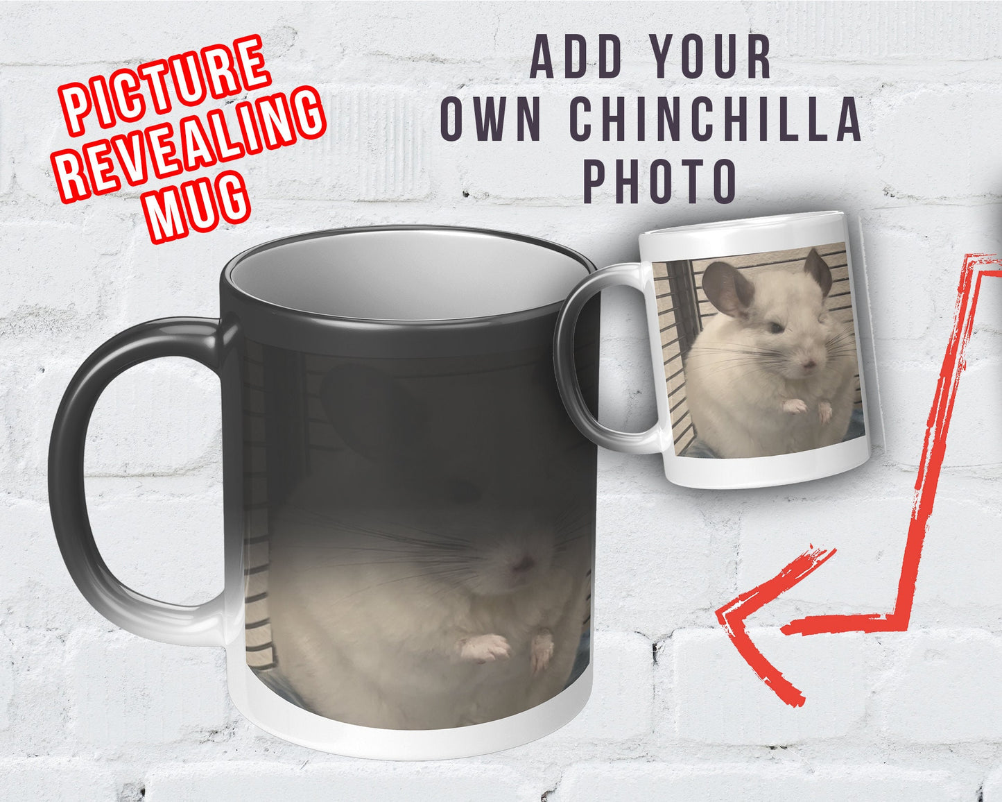 Picture Reveal 11 Oz Mug - Add A Photo Of Your Own Chinchilla!